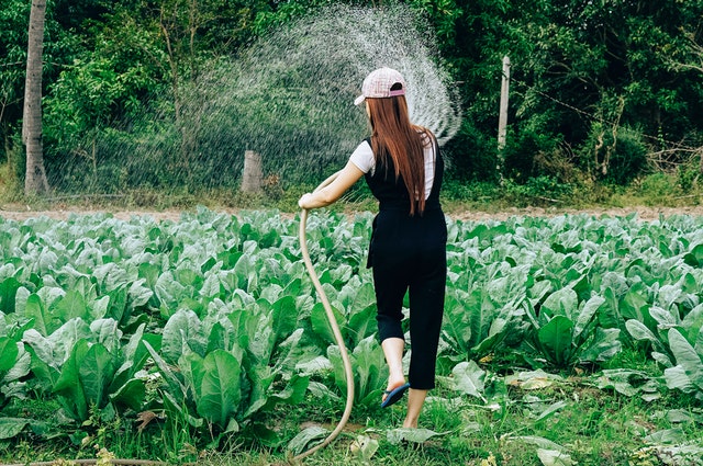 agua potable para campos cultivo