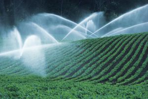 Agua en la agricultura
