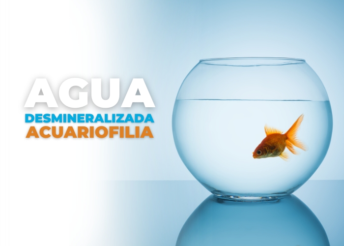 acuariofilia