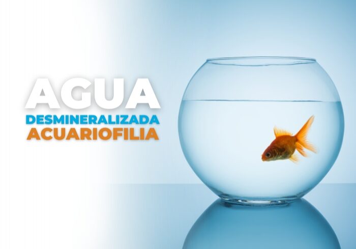 acuariofilia